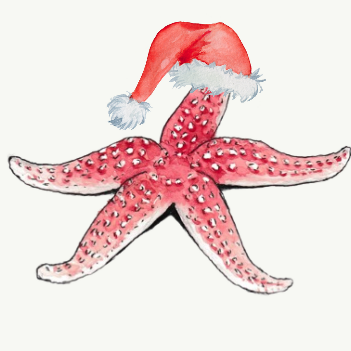A watercolor-style illustration of a pink starfish wearing a red Santa hat with white trim and pom-pom, centered on a plain light background.